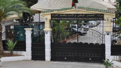 وزارة التضامن تطلق خدمتان رقميتان